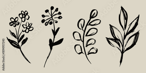 Delicate botanical illustrations of various floral and foliage elements in black
