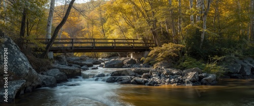 Autumnal Vizzavona forest scene with L'Agnone river cascading under a wooden bridge in Corsica