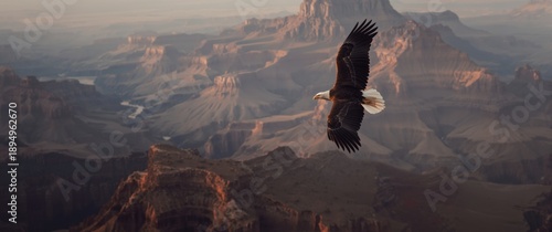 Grand Canyon viewed from a Bald eagle in flight