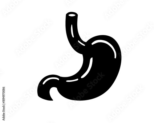 Human stomach silhouette, vector illustration, icon isolated on white background
