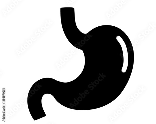 Human stomach silhouette, vector illustration
