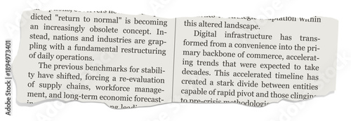 Realistic illustration of a torn newspaper piece with shadow. Isolated paper scrap with business text on white background.