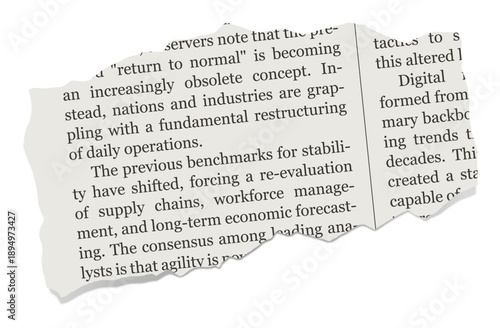 Realistic illustration of a torn newspaper piece with shadow. Isolated paper scrap with business text on white background.