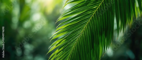 Green palm leaf design as t...