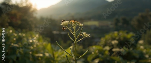 Moth and bee on top of trid...