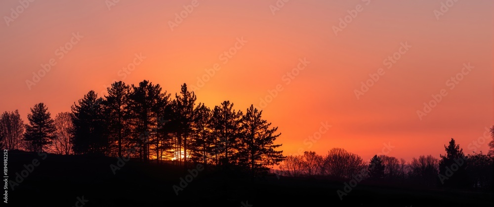 Obraz premium Sunset Scene Featuring Pine Tree Silhouettes