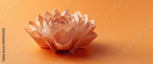 Detailed macro photograph o...