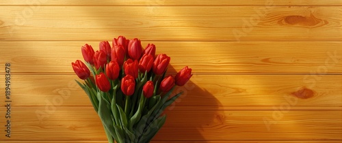 A collection of red tulips ...