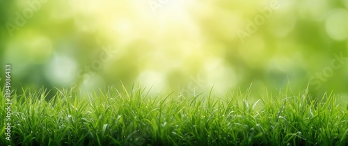 Fresh grass on an abstract ...