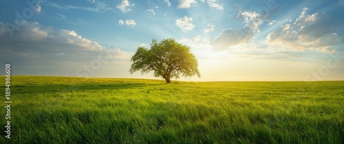 Countryside scene featuring...