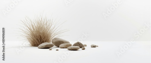 Grass and stones on a white...