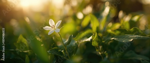 Garden scene featuring the ...