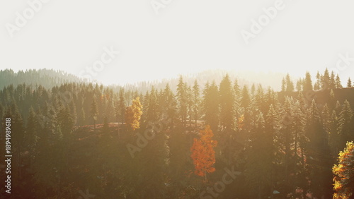 Misty ridge lined with silhouetted pines, warm haze softening contours and creating muted palette, contemplative mood suited for wellness and calm branding.