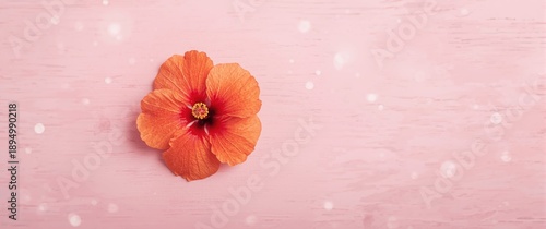 Bright and beautiful flower...