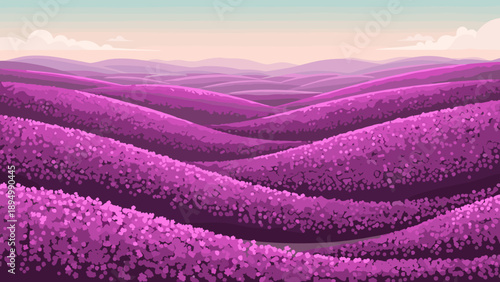Rolling hills covered in vibrant purple lavender fields under a soft pastel sky