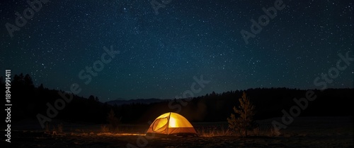 Night sky filled with stars...
