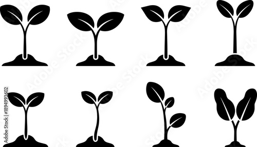 Collection of eight simple black and white icons representing plant growth and seedlings