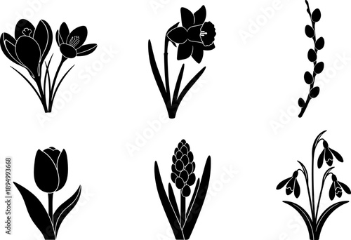 Collection of six black and white spring flower silhouettes on a white background