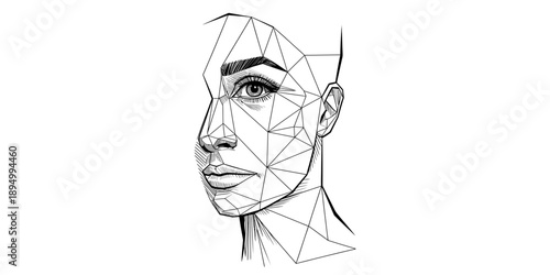 Geometric illustration of a woman's face and low-poly network Vector, illustration