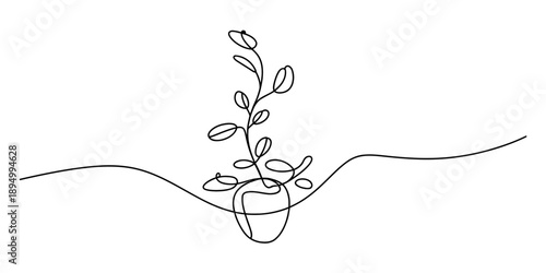 Simple continuous line drawing of a small houseplant in a decorative pot on a white background Vector, illustration