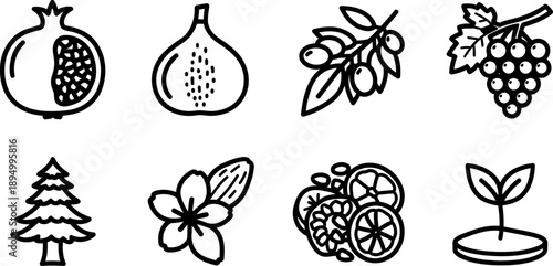 Tu Bishvat symbols: pomegranate, fig, olive, grapes, tree, almond, citrus, sprout icons