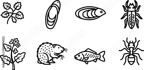 National Invasive Species Awareness Week icon set for conservation