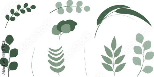 Minimal green botanical elements with eucalyptus branches and abstract foliage perfect for modern decor design