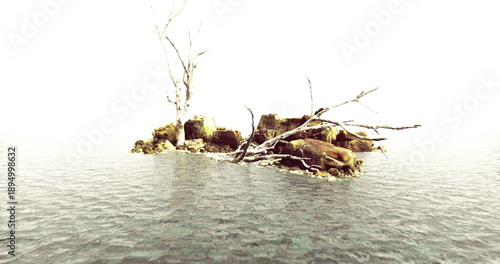 Obraz na płótnie Desolate rocky islet with driftwood, washed by pale sea and bright haze, minimal