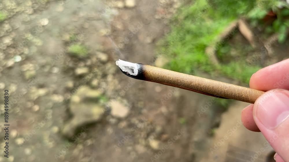 lomboy cigarette smoking hand-rolled leaf outdoors, organic alternative to tobacco or cannabis, smoke Lomboy (traditional Philippine hand-rolled... -