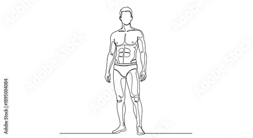 Continuous line drawing of a muscular male physique.