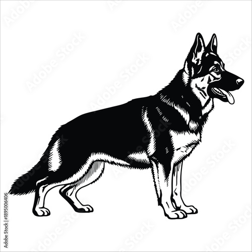 Loyal Companion: A regal German shepherd stands in proud profile, epitomizing the breed's intelligence and strength. A classic portrayal