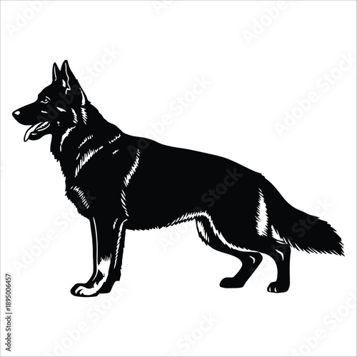Majestic German Shepherd: A striking monochrome depiction of a German Shepherd Dog, exuding strength and loyalty. This artwork showcases the breed's elegant profile and powerful physique.