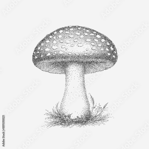 Botanical fly agaric illustration with sharp threshold contrast, dotted stipple, rough speckled grain, torn paper edges and faint ink bleeding stains.