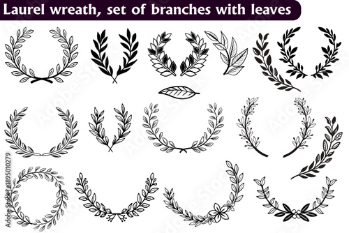 Minimal botanical crests and decorative wheat-style borders for logo designs. Collection of floral wreaths, olive branch emblems and organic leafy branches sets, vector illustrations.