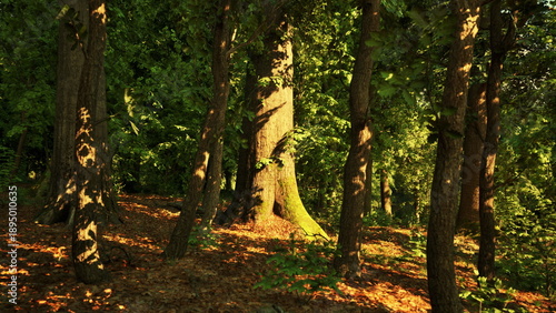Foto Sunlit oak grove with dappled light and warm undergrowth, ideal backdrop for out