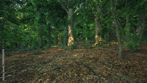 green forest floor birch trunks dappled light, moss patches and dry leaf litter, cool shaded understory, close up view of textured bark and roots, serene