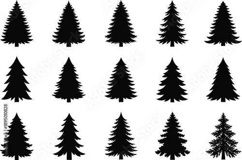 Black silhouette collection of evergreen pine and spruce coniferous trees set isolated on white background for Christmas winter nature forest and outdoor design elements