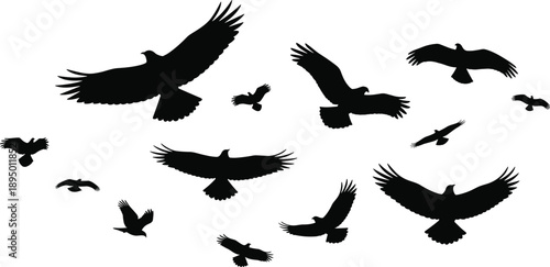 Black Silhouette Flock of Soaring Eagles and Hawks Flying in Clear Sky, Majestic Birds of Prey Wing Spans Isolated on White Background for Graphic Design
