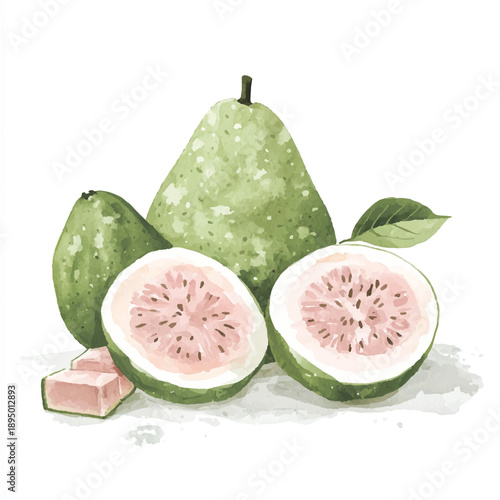Watercolor painting of fresh guava fruit with pink flesh and green skin.