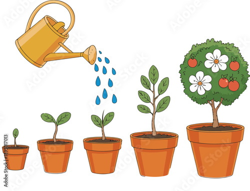 Plant Growth Stages Vector Illustration  From Seedling to Fruit Tree
