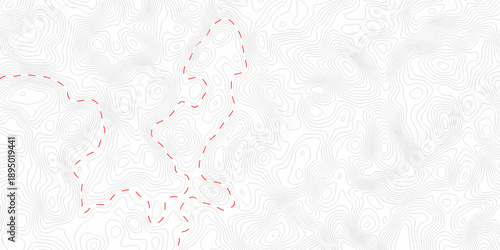 white topography map geography relief diagram texture design. Topography white background and black line world map texture design. Lines Topographic contour lines grid map seamless pattern.