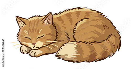 Cute sleeping ginger cat. Vector isolated illustration