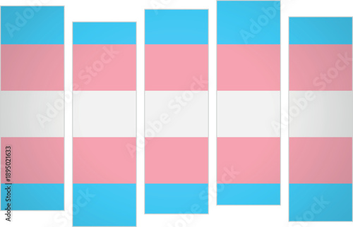 Flag of the transgender. LGBTQ. A design featuring vertical panels in a modular perspective