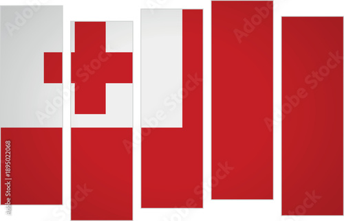Flag of Tonga. Flag with a design featuring vertical panels in a modular perspective