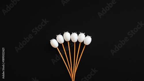 White blossoms in a sparse display