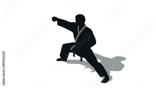 Martial artist silhouette in karate pose showcasing power and precision