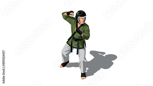 Isometric martial artist in karate pose with protective gear on white background