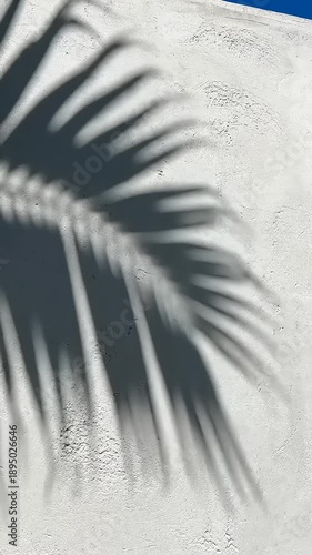 Palm Tree Shadow on Sandy Beach.