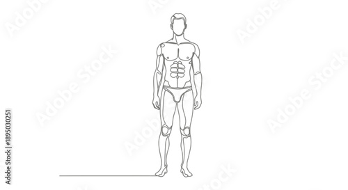 Male anatomy figure drawing continuous line art.