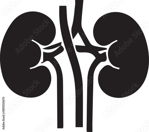 Human Kidneys Renal System Icon Vector Illustration